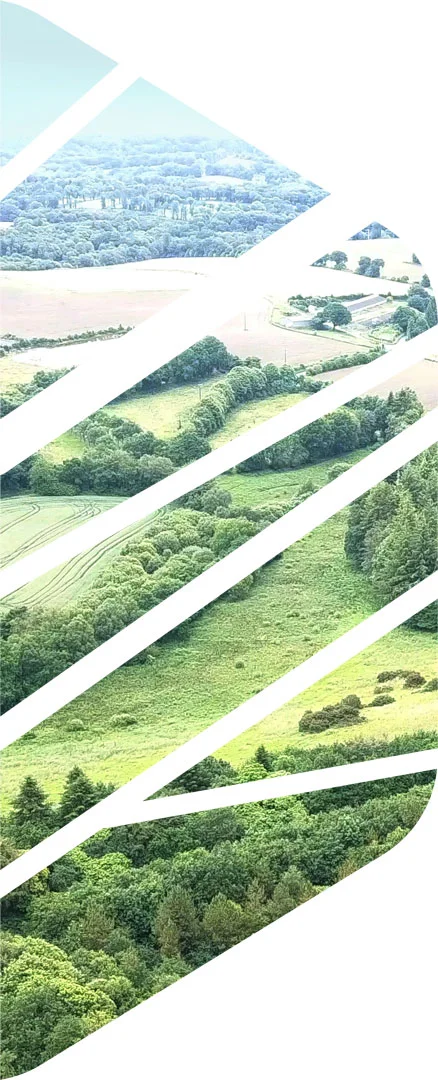 hexa-right-land2